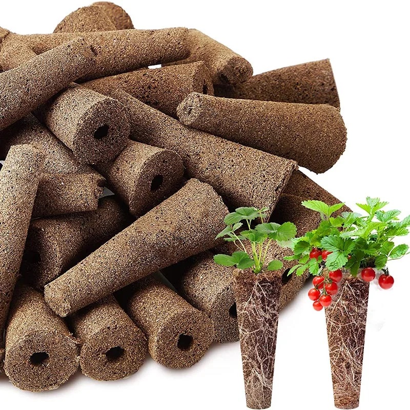 Net Pot 3 Inch - ฟองน้ำสำหรับเมล็ด Grow 100ชิ้น, ฟองน้ำสำหรับเปลี่ยนรากเจริญเติบโตของต้นกล้าปลั๊กสำหรับเพาะเมล็ดเริ่มปลูกในสวนแบบไฮโดรโปนิกส์
