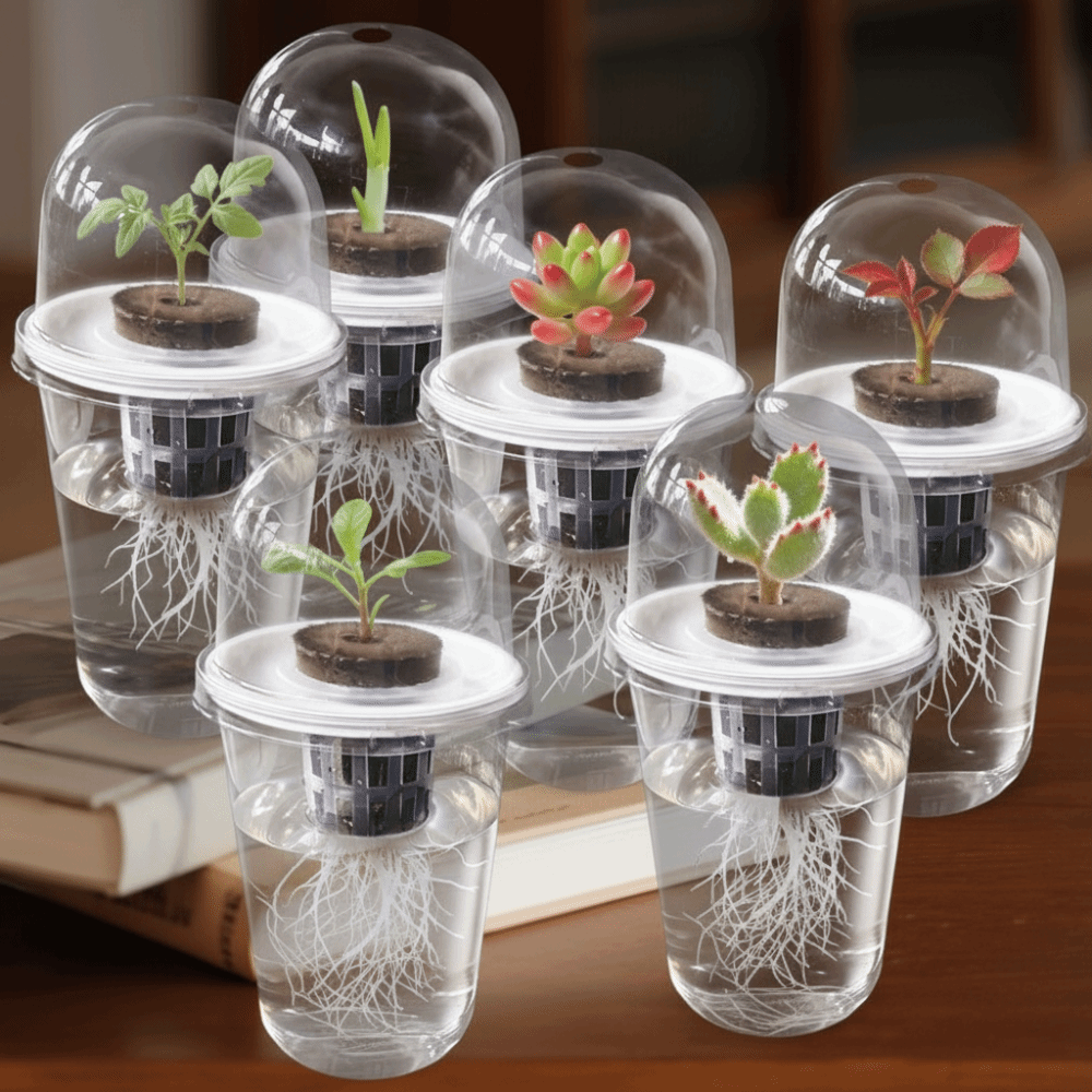 Net Pot 3 Inch - ถ้วยเพาะเมล็ดแบบใส 1-5 ชิ้น สำหรับปลูกพืชแบบไฮโดรโปนิกส์ กระถางเพาะเมล็ดแบบใช้ซ้ำได้ ทนทาน