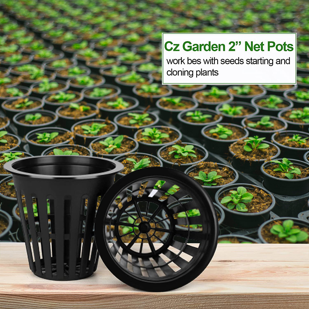 Net Pot 3 Inch - 2 นิ้ว Garden Nursery Pots พืชสุทธิถ้วย