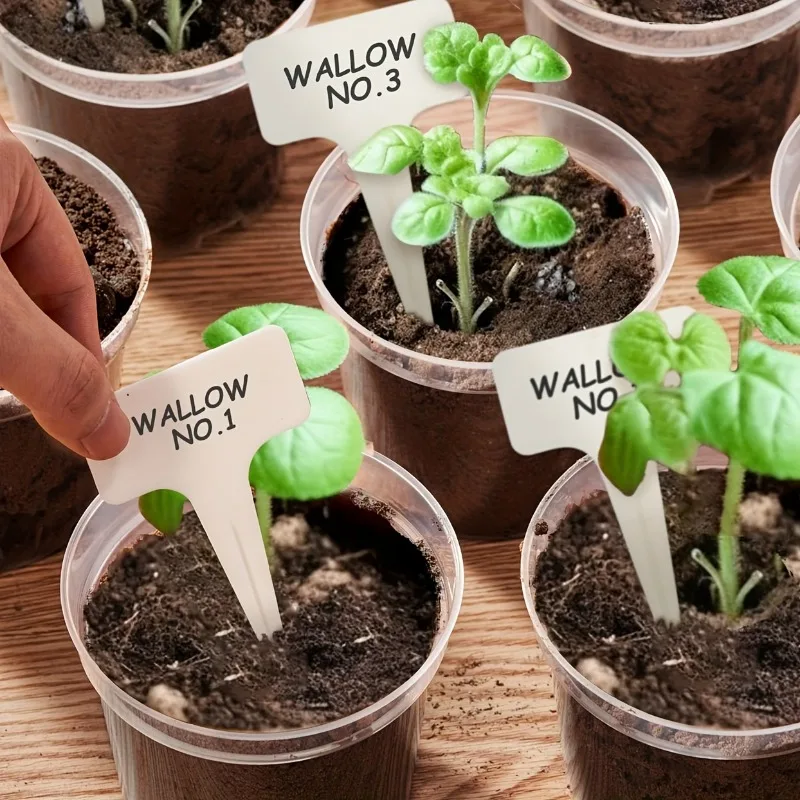 72 ชิ้น/เซ็ตล้าง Nursery Potsp - Net Pot 3 Inch บทวิจารณ์และราคา