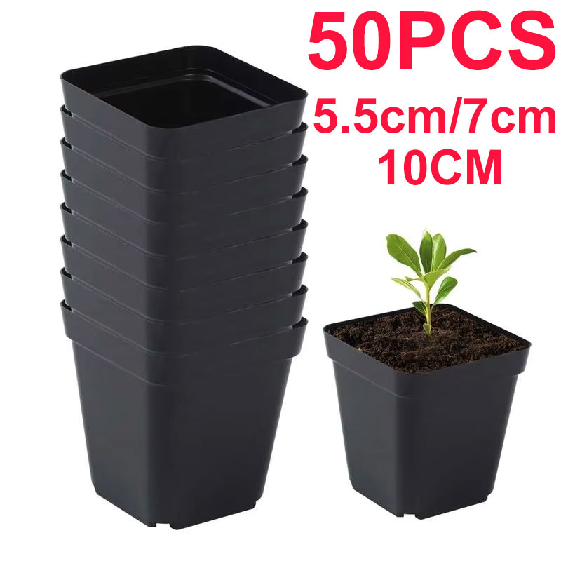 ต้นกล้าหม้อ 50 ชิ้นสแควร์เมล็ด - Net Pot 3 Inch บทวิจารณ์และราคา