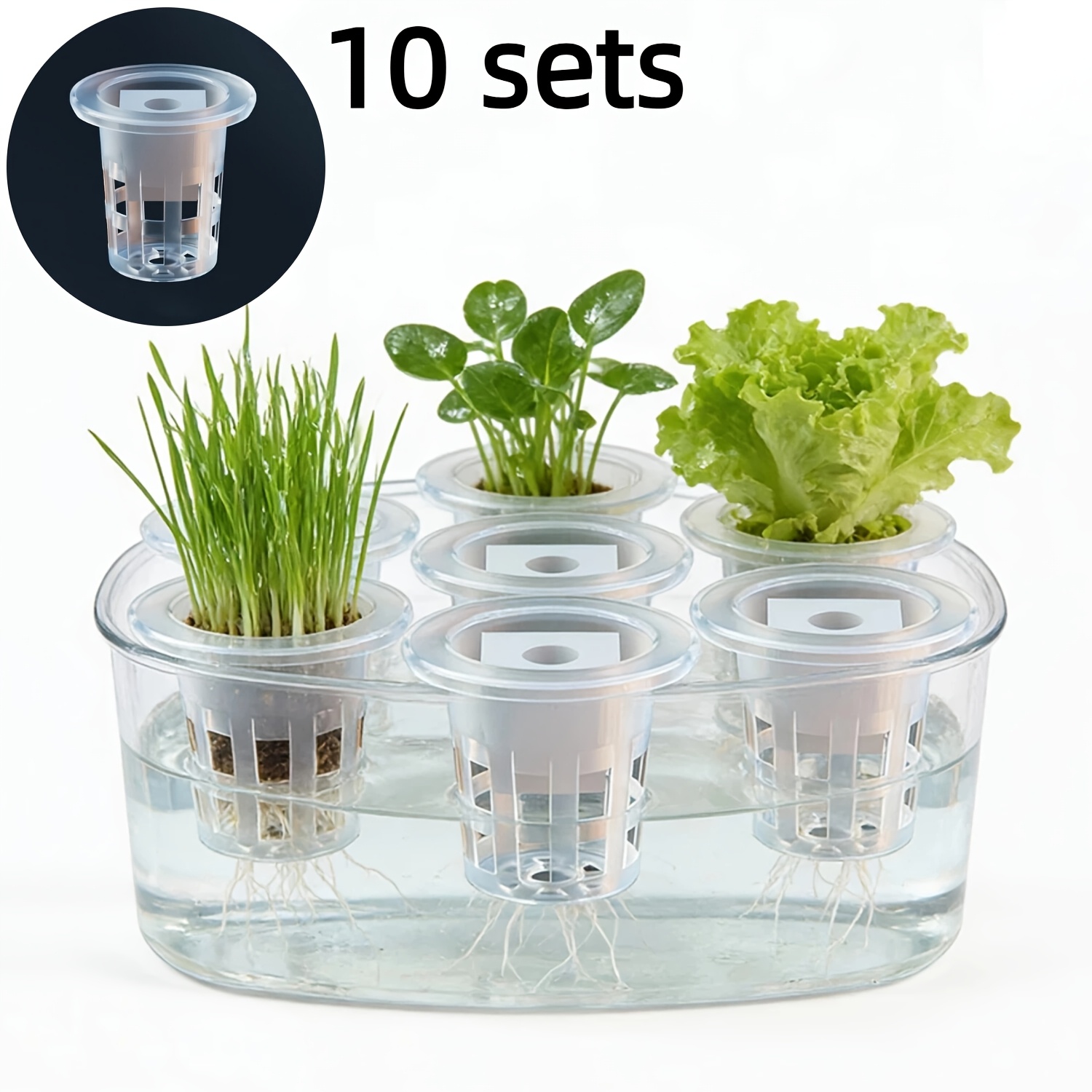 ชุดตะกร้าเพาะกล้าไฮโดรโปนิกส์  - Net Pot 3 Inch บทวิจารณ์และราคา