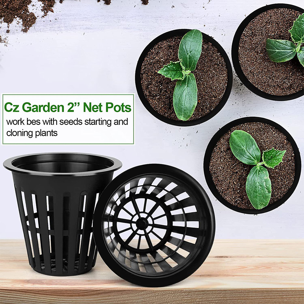 2 นิ้ว Garden Nursery Pots พืช - Net Pot 3 Inch บทวิจารณ์และราคา